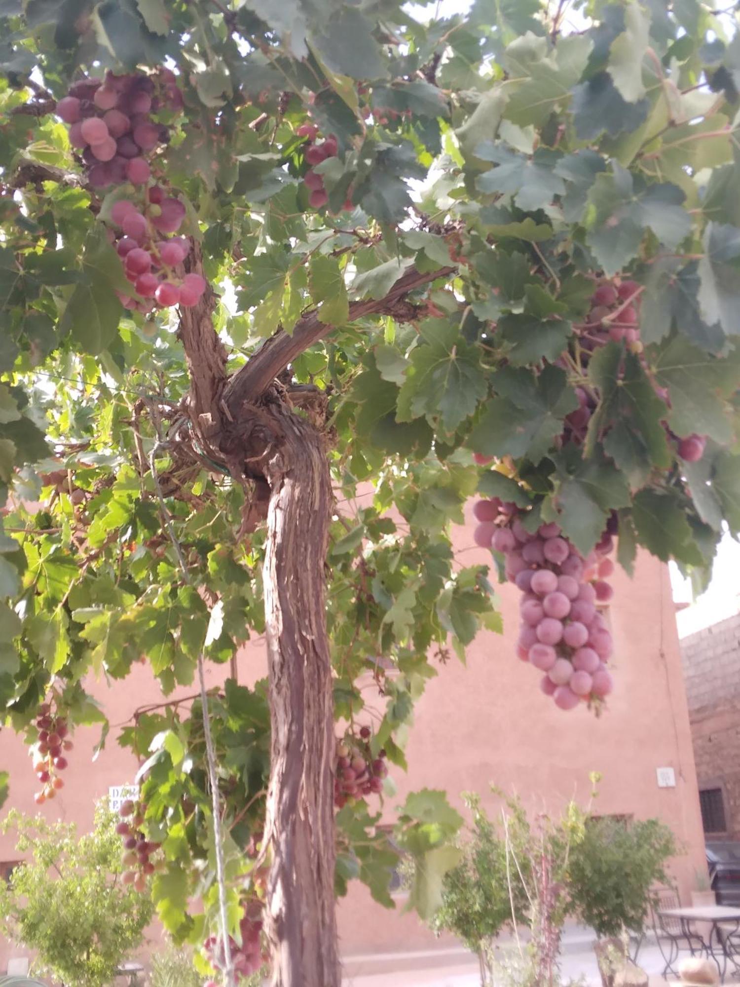 Dar Bilal Hotel Ait Benhaddou Exterior photo
