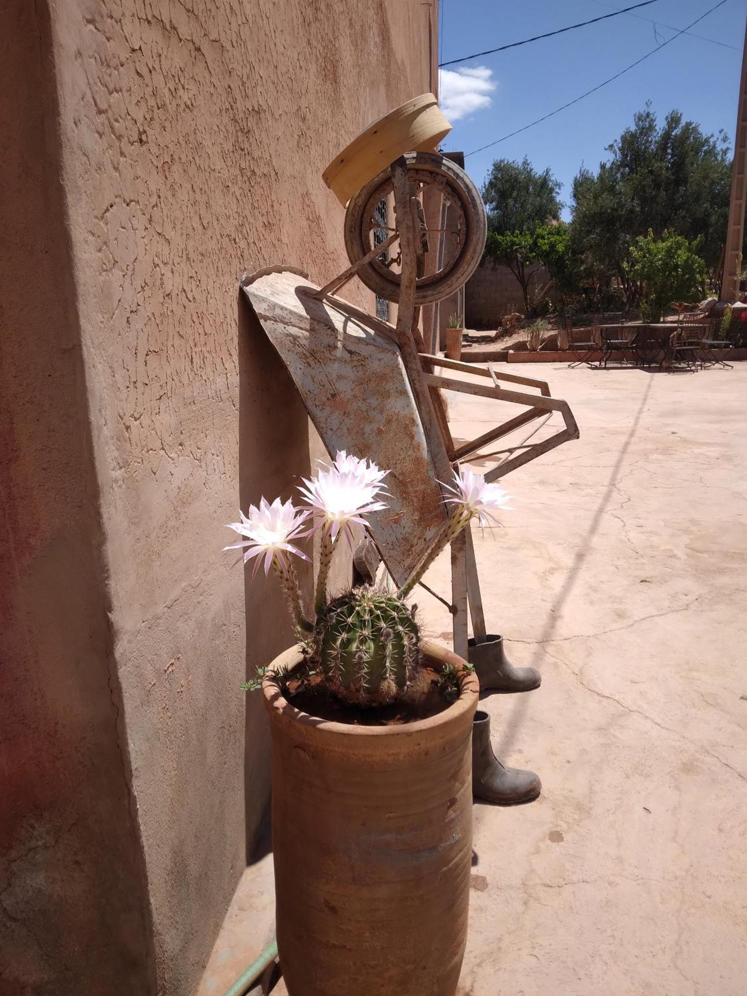 Dar Bilal Hotel Ait Benhaddou Exterior photo